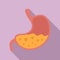 Food stomach icon, flat style