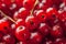 Food texture background - background filled with red current berries