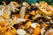 Food waste dump discarded for composting fertilizer,consumerism trash