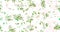 Food watercolor seamless pattern. Abstract olives, leafs, branches on white background