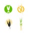 Food wheat grains logo