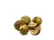 Food of the wild. Shagbark hickory nuts on white