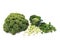 Food: Winter Green Vegetables, kale, brussels sprouts, field sal