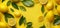 food yellow juicy natural summer fresh healthy background fruit art lemon. Generative AI.