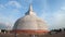 At the foot of the ancient Ruwanveliseya Dagaba Stupa. Anuradhapura, Sri Lanka