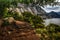 Foot bridge along the Wapama Falls Trail, Hetch Hetchy Reservoir, Yosemite National Park