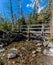 Foot Bridge Baring Creek