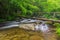 Foot bridge, Middle Prong, Great Smoky Mountains