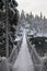 Foot-bridge Oulanka National Park. Finland.