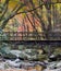 Foot Bridge over rocky stream in the Smoky Mountains