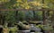 Foot bridge over Smoky Mountain stream with fall foliage