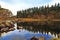 Foot bridge and pine trees reflected in Llyn Mymbyr Capel Curig Snowdonia