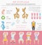 Foot deformation types, medical desease infographic. Hip dyspla