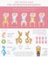 Foot deformation types, medical desease infographic. Hip dyspla