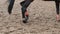 Foot of horse running on mud. Close up of legs galloping on the wet muddy ground. Slow motion