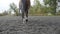 Foot of horse walking on the sand. Close up of legs going on the wet muddy ground at manege at farm. Following for