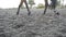 Foot of horse walking on the sand. Close up of legs going on the wet muddy ground at manege at farm. Following for