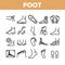 Foot Human Body Part Collection Icons Set Vector