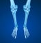 Foot human radiography scan