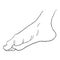 Foot male bottom out side. vector illustration