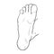 The foot male up sole. vector illustration