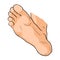The foot male up sole. vector illustration
