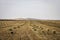 At the foot of the mountain is a vast wheat field with golden harvest