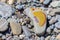 Foot painted with yellow watercolor on beach stone as a foot on the sea