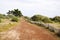 Foot path access in sand beach in Vendee france