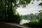 Foot path along woody riverside in cloudy raining summer morning