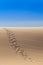 Foot path in desert