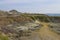 Foot path in Dinosaur Provincial Park