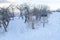 Foot path and signages at the snow covered slope of Wasatch Mountains in winter