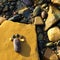 Foot, pebble, stone, art, seaside