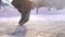 Foot pedestrian walking on the ice sprinkled with anti-slip reagent close up,slow mo