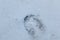 Foot print of a deer on the white snow