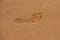 Foot print in the sandy beach, closeup. Footprints barefoot in the desert sand.