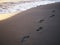 Foot prints on a black sand beach with tilt-shift blur. Surf in background. Concept for loneliness, solitude, depression