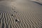 Foot Prints in Sand â€“ Death Valley - Horizontal