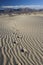 Foot Prints in Sand â€“ Death Valley - Vertical