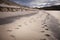 Foot prints on the sandy beach