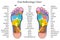 Foot reflexology chart description