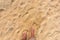 Foot on Sand