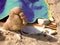 Foot in the sand during a sunny summer day at sea