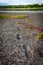 Foot shoe prints on sand lake