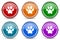 Foot silver metallic glossy icons, set of modern design buttons for web, internet and mobile applications in 6 colors options