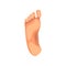 Foot sole, male body part vector Illustration on a white background