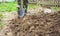 Foot with spade in dirt, farmer working