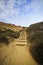 Foot steps at Torrey Pine Stat Park