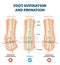 Foot supination and pronation vector illustration. Labeled medical scheme.